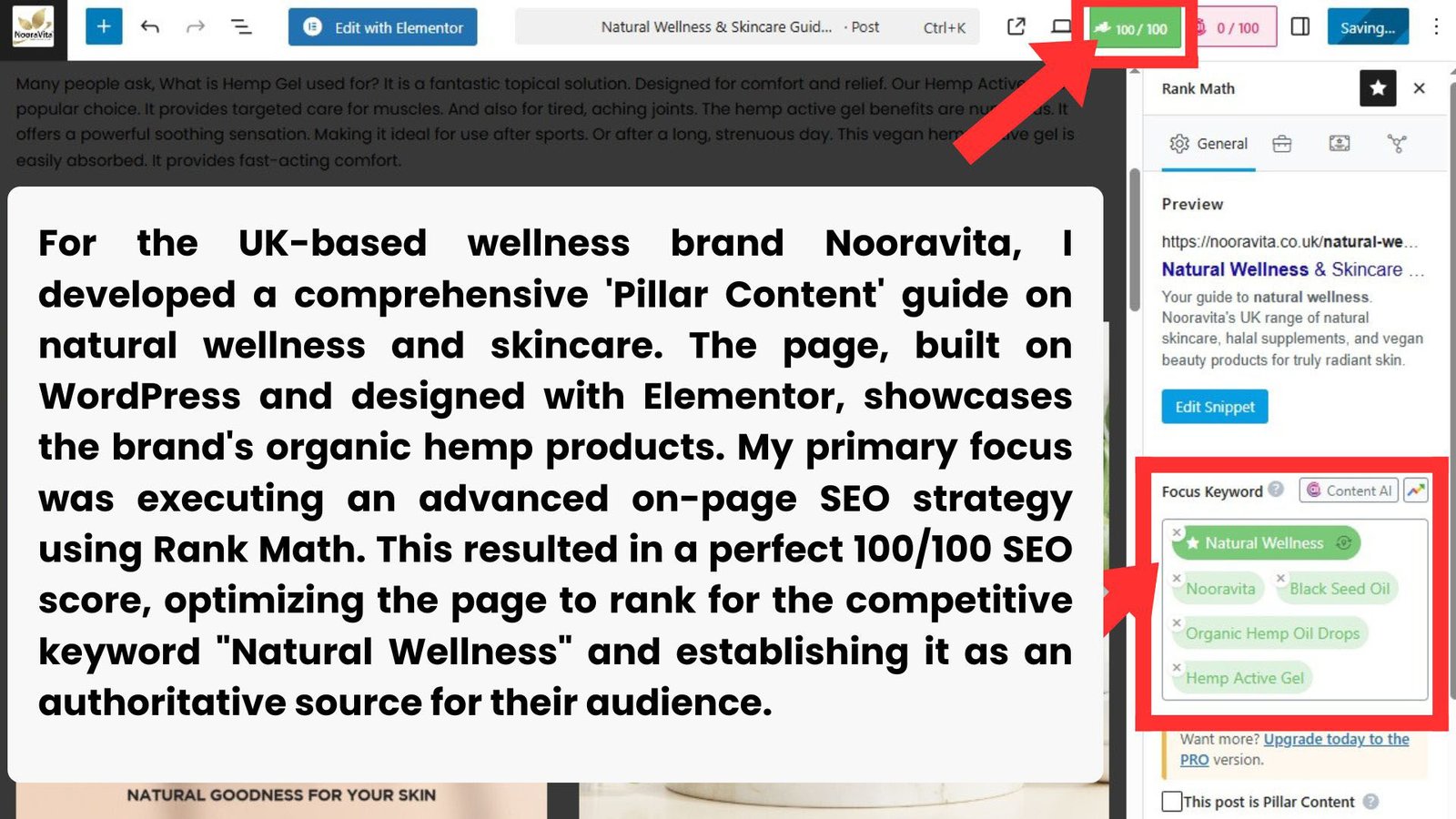 UK E-commerce SEO: Ranking Nooravita on Google's First Page — image 1